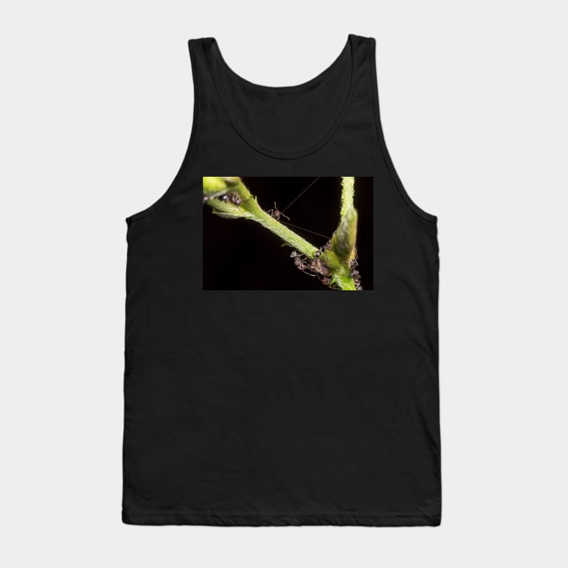 Unique and organic photo of a swarm of ants tending a treehopper Tank Top by AvonPerception